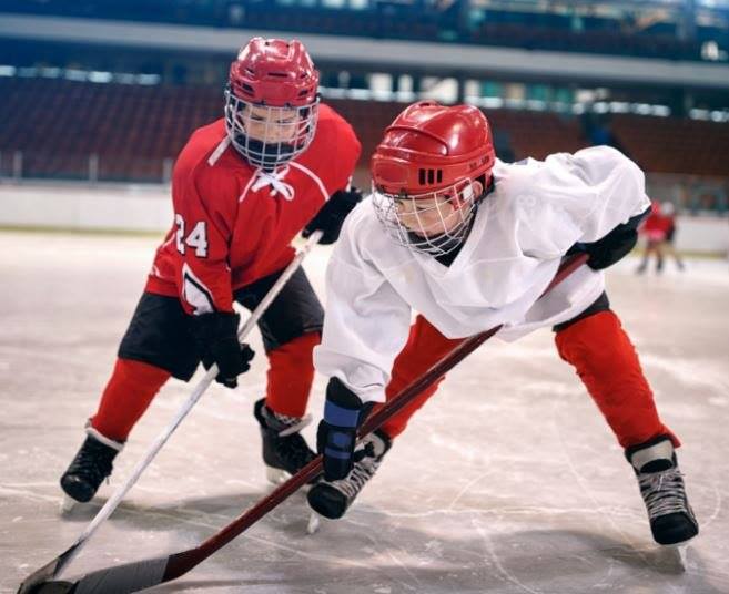 Hockey Equipment - Goalie